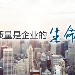 一个质量管理者的自白(连载)-第一章 前奏 第2节 生存危机