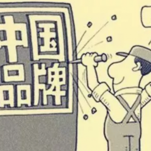 董明珠：质量二字关乎“两个生命”